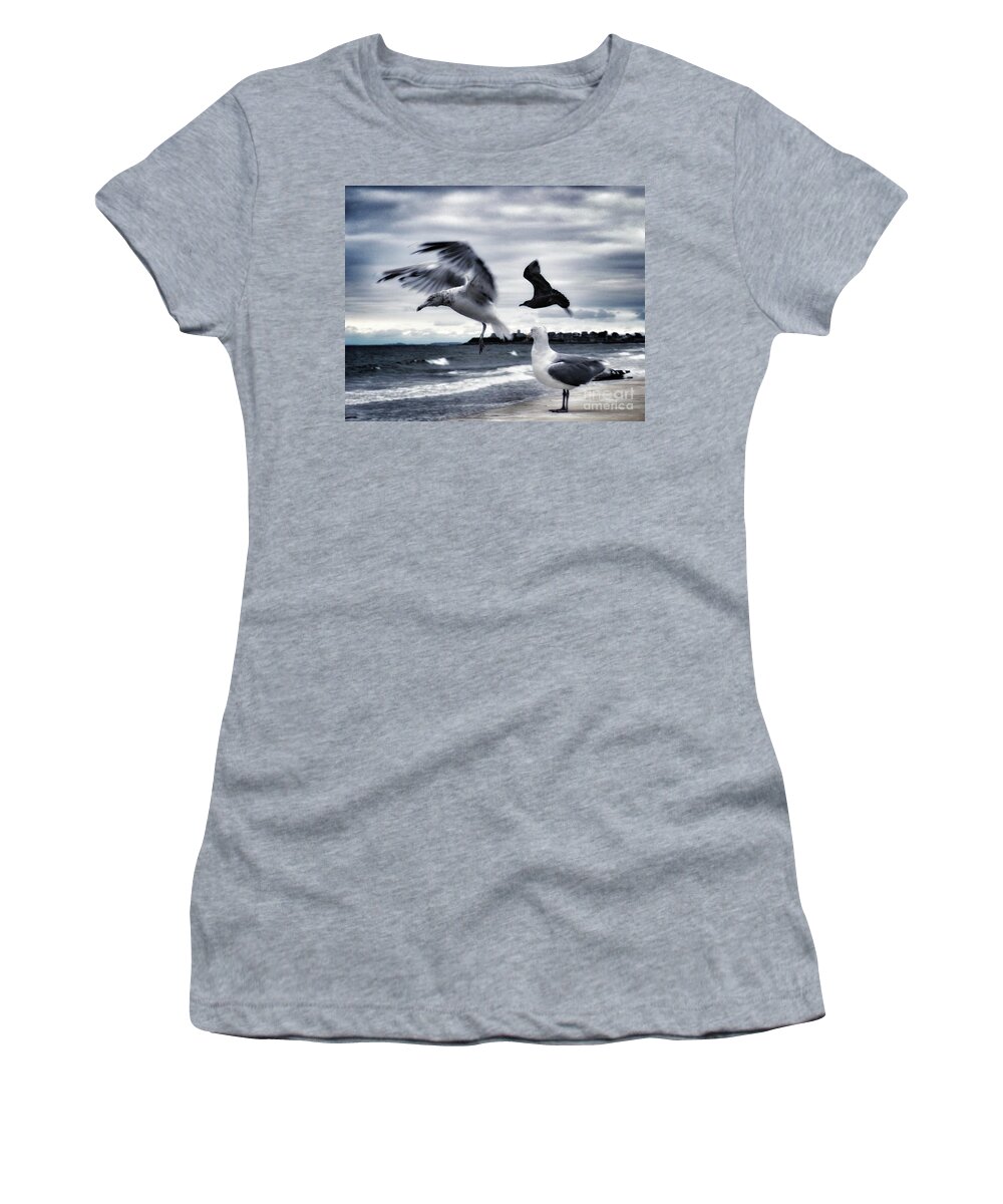 Seagulls Women's T-Shirt featuring the photograph Seagulls by Mary Capriole