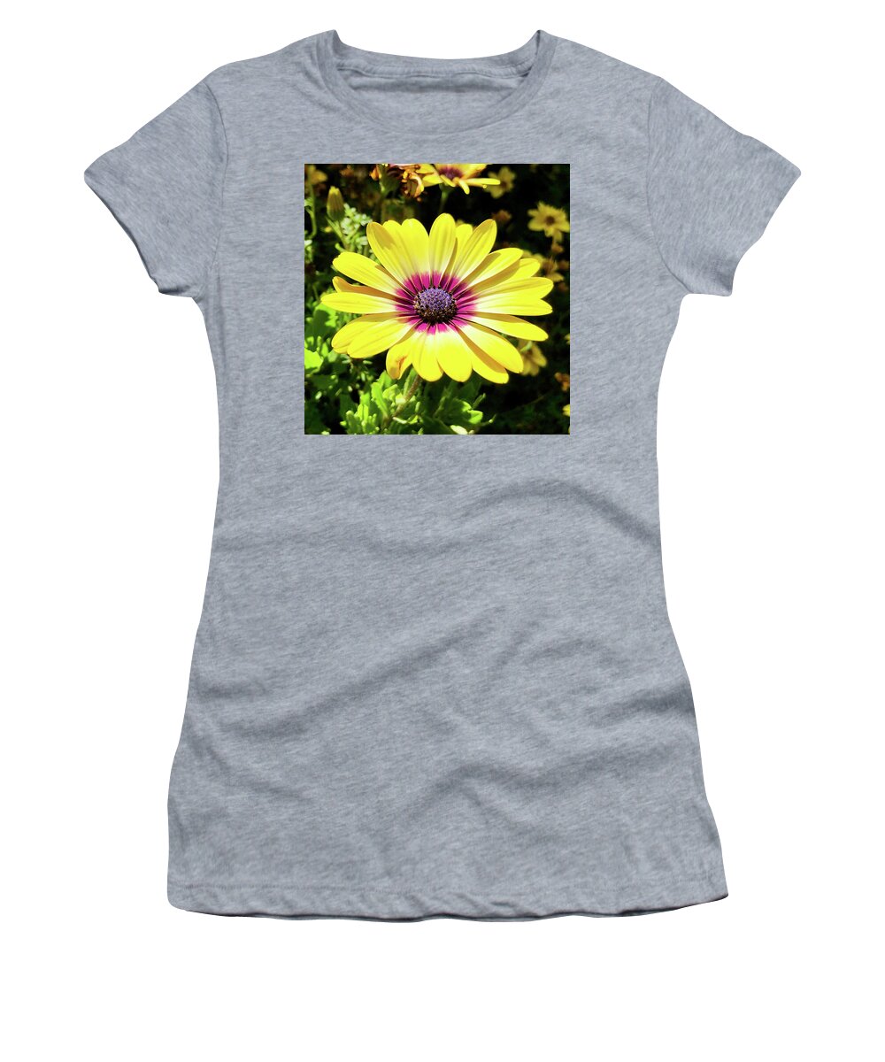 African Women's T-Shirt featuring the photograph Serenity Blue Eyed Beauty by Gordon James