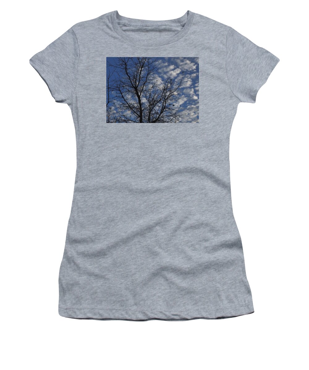 Botanical Women's T-Shirt featuring the photograph Sleeping Tree Winter Sky by Richard Thomas