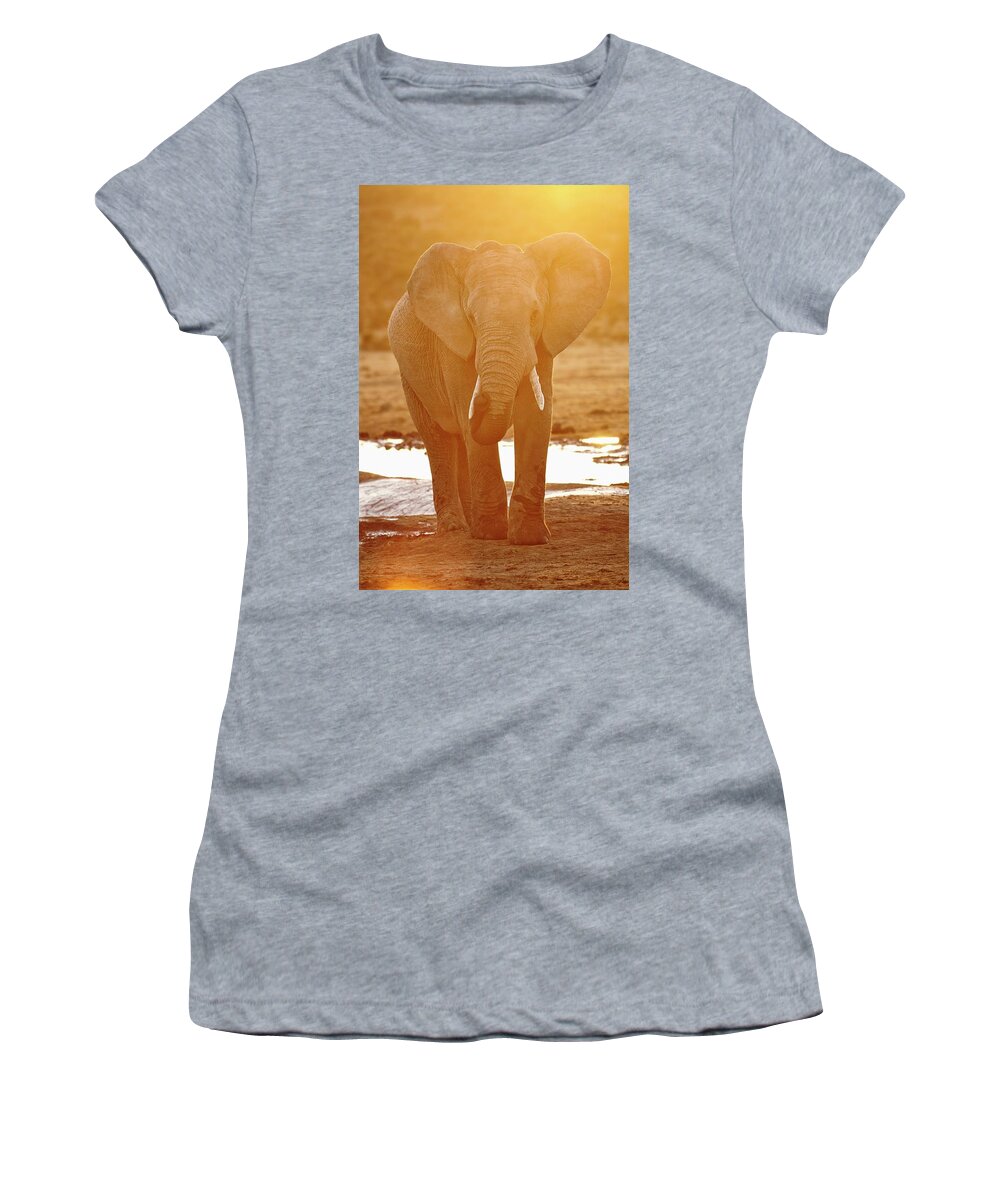 Estock Women's T-Shirt featuring the digital art South Africa, Eastern Cape, Addo Elephant National Park, Sundays River Valley, African Elephant (loxodonta Africana) by Richard Taylor