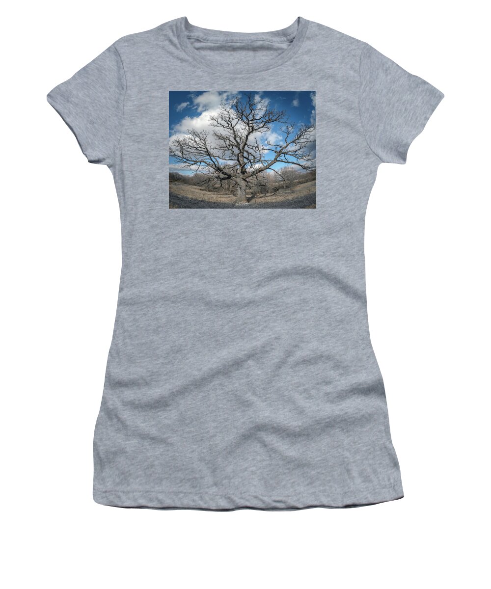 Tree Women's T-Shirt featuring the photograph Spider Tree by Phil S Addis