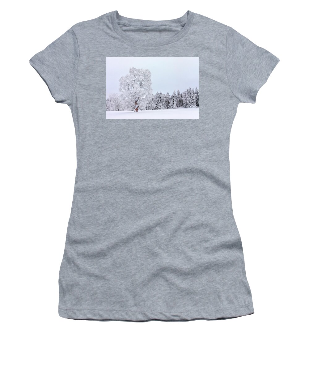 Winter Women's T-Shirt featuring the photograph Spirals by Dominique Dubied