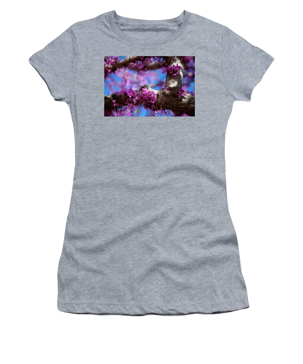 Oklahoma Women's T-Shirt featuring the photograph Spring in Oklahoma by Toni Hopper