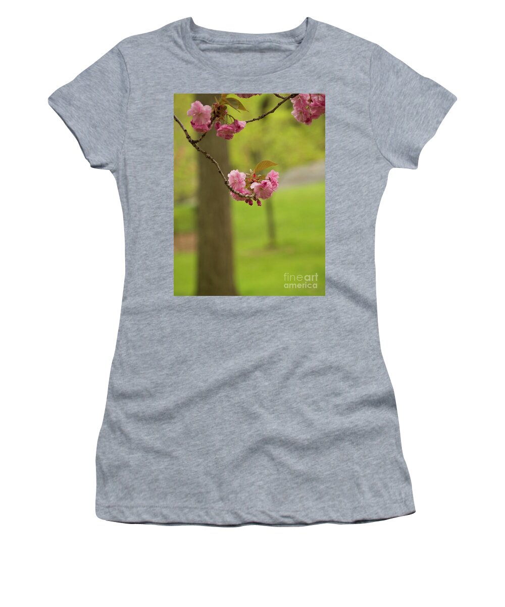 Central Park Women's T-Shirt featuring the photograph Springtime Blossoms In Central Park by Dorothy Lee