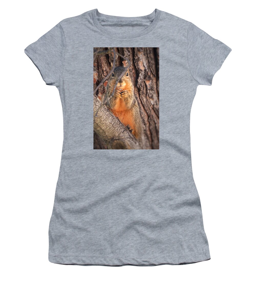 Squirrel Women's T-Shirt featuring the photograph Squirrel eating in tree by David Zumsteg