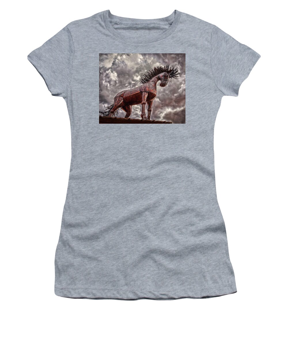Santa Fe Women's T-Shirt featuring the photograph Stallion In The Storm by Joe Ownbey