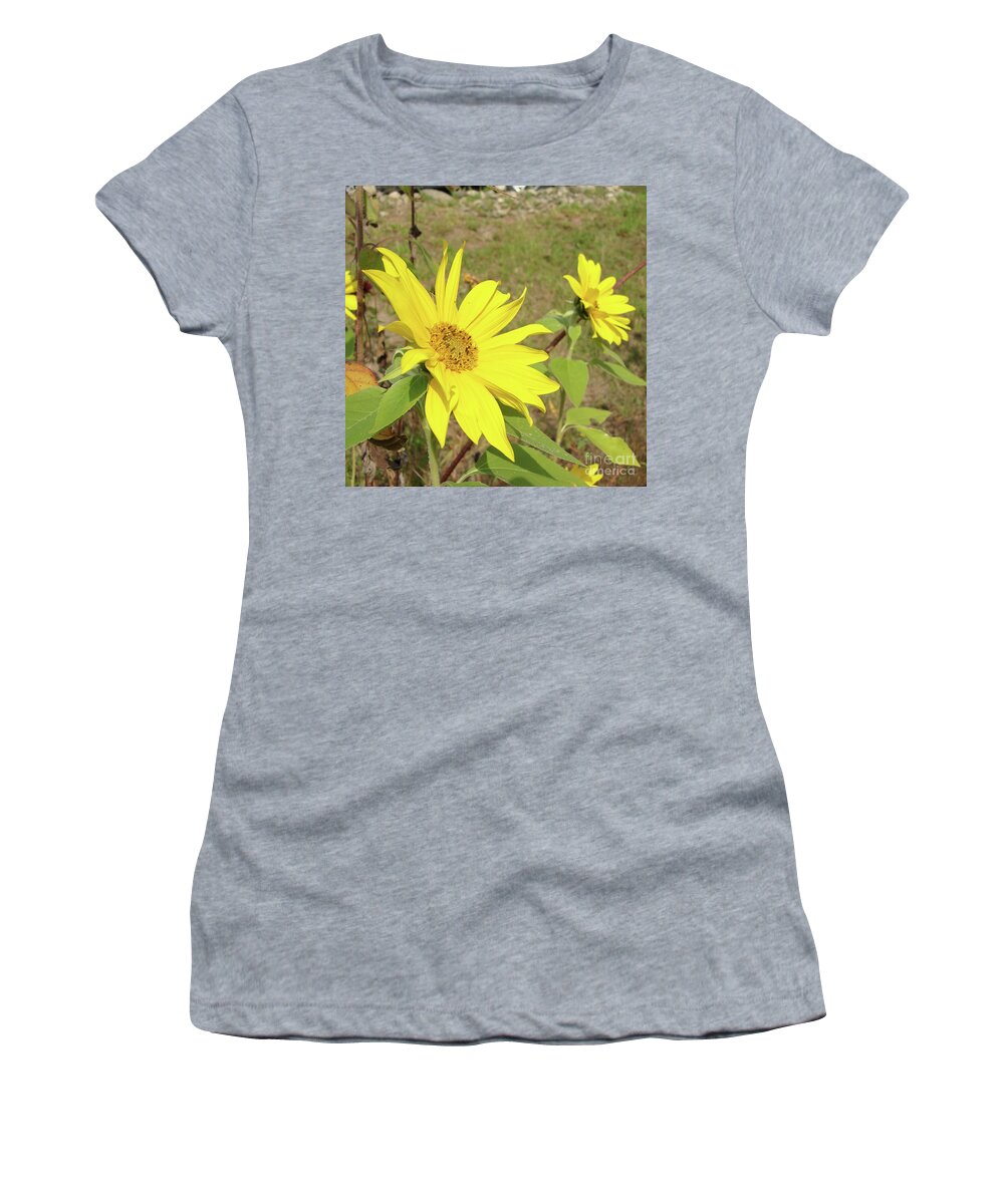 Sunflower Women's T-Shirt featuring the photograph Sunflower 58 by Amy E Fraser