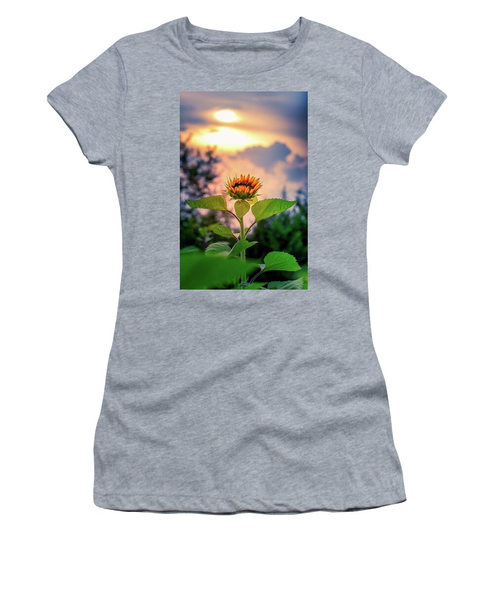 Sunflower Women's T-Shirt featuring the photograph Sunflower opening to the light by Allin Sorenson