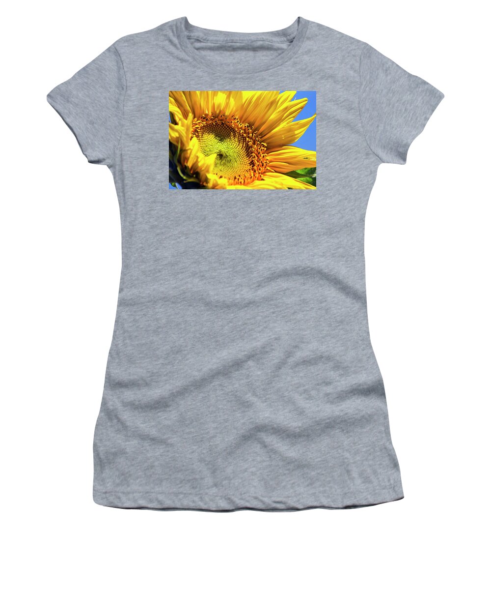 Sunflower Women's T-Shirt featuring the photograph Summer Sunflower by Christina Rollo