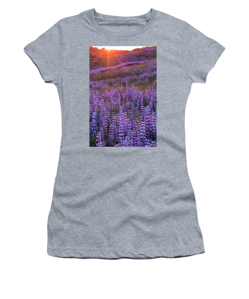 Jeff Foott Women's T-Shirt featuring the photograph Sunset Lupine In Redwood Natl Park by Jeff Foott