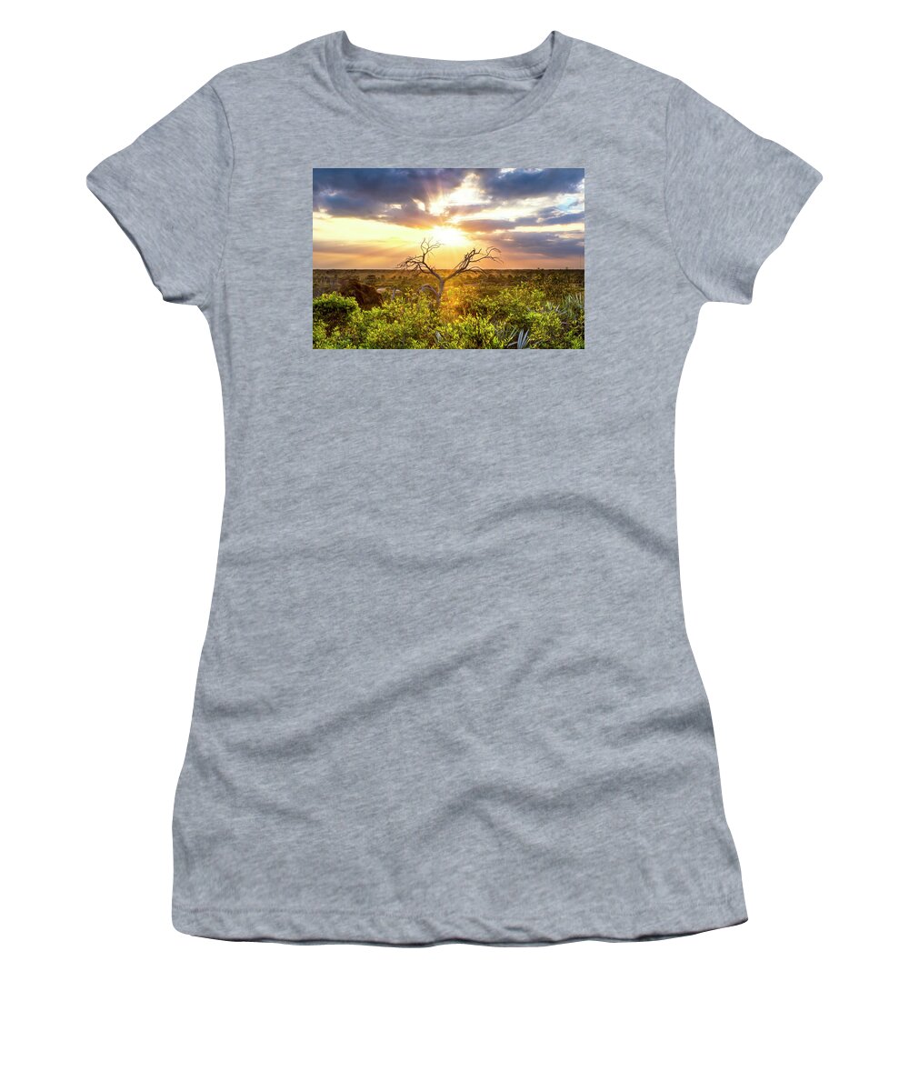 Clouds Women's T-Shirt featuring the photograph Sunset Tree Painting by Debra and Dave Vanderlaan