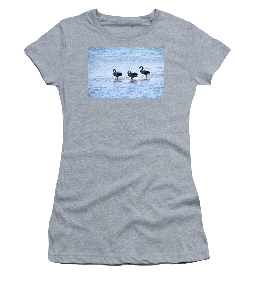 Swans Women's T-Shirt featuring the photograph Swans on parade by Fran Woods