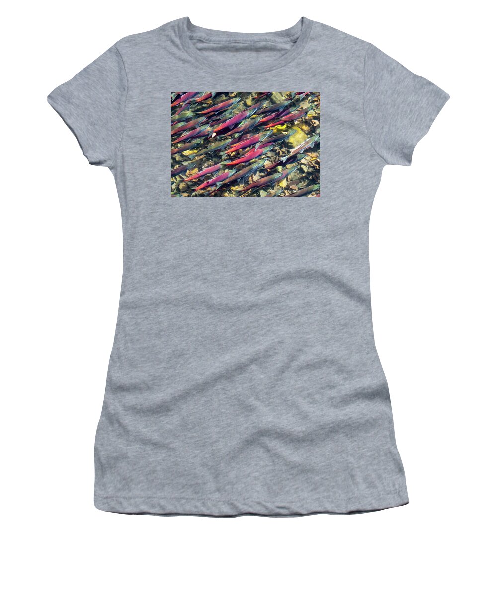 Fish Women's T-Shirt featuring the photograph Tahoe Salmon by Martin Gollery