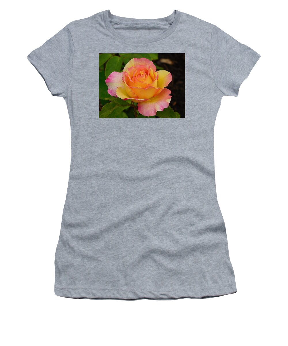 Elizabeth Park Rose Garden Women's T-Shirt featuring the photograph Tea Rose from the Rose Garden Series No. 31 by Catherine Gagne
