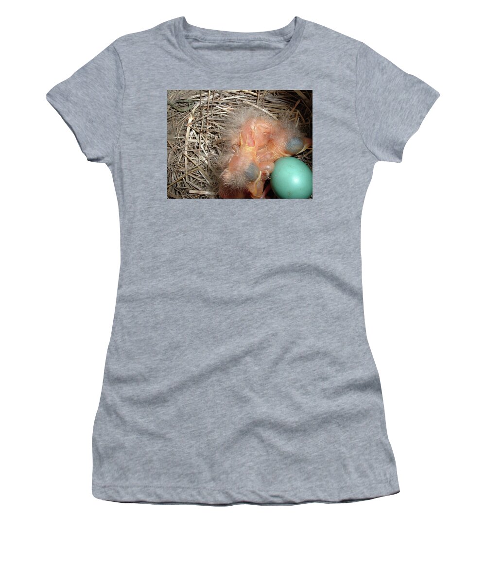 Bird Women's T-Shirt featuring the photograph The Arrival by Belinda Landtroop