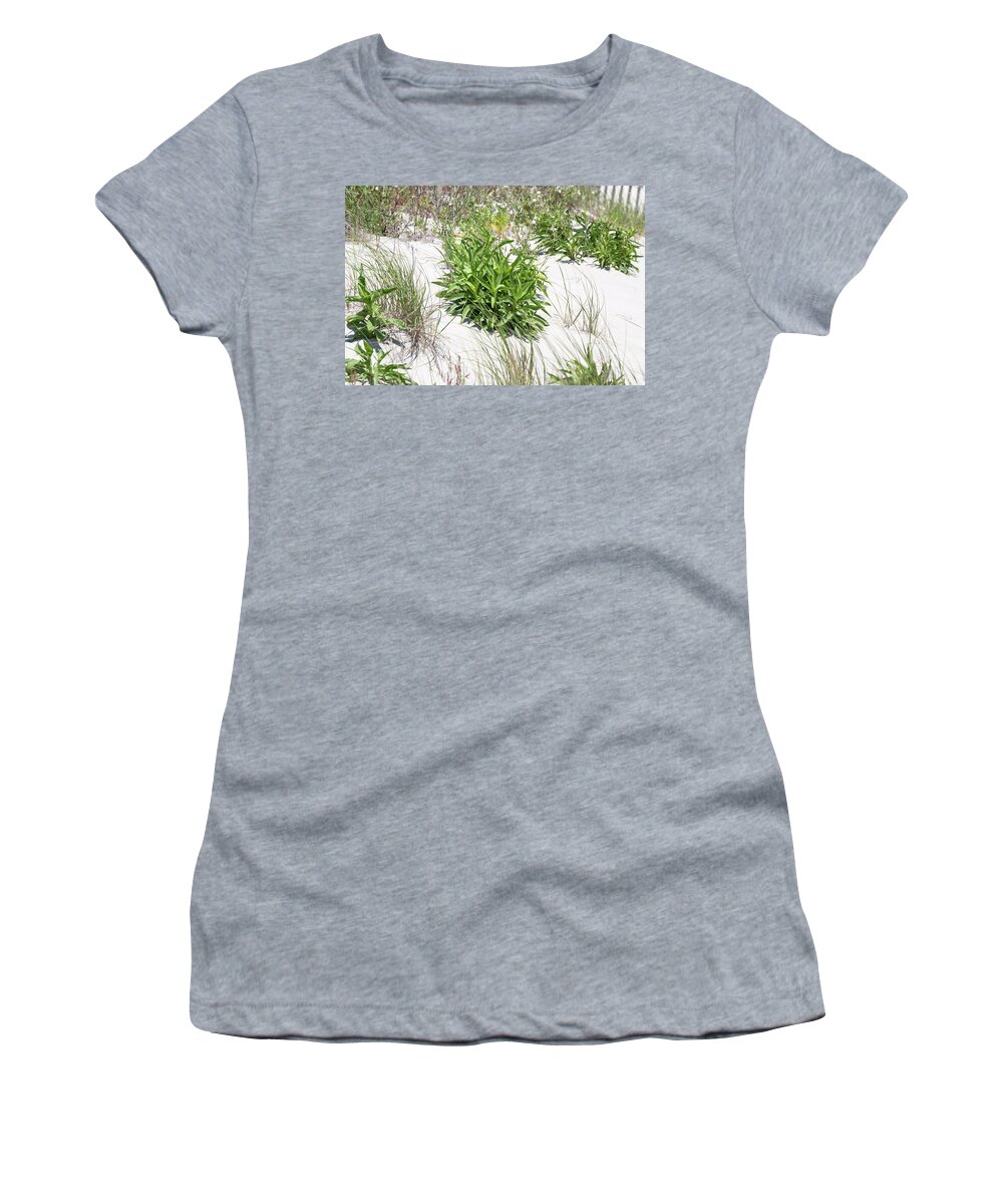 Plant Life Women's T-Shirt featuring the photograph The Dunes 13 by David Stasiak