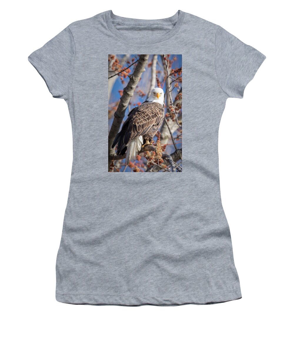 Bald Eagle Women's T-Shirt featuring the photograph The Eyes by Laura Hedien