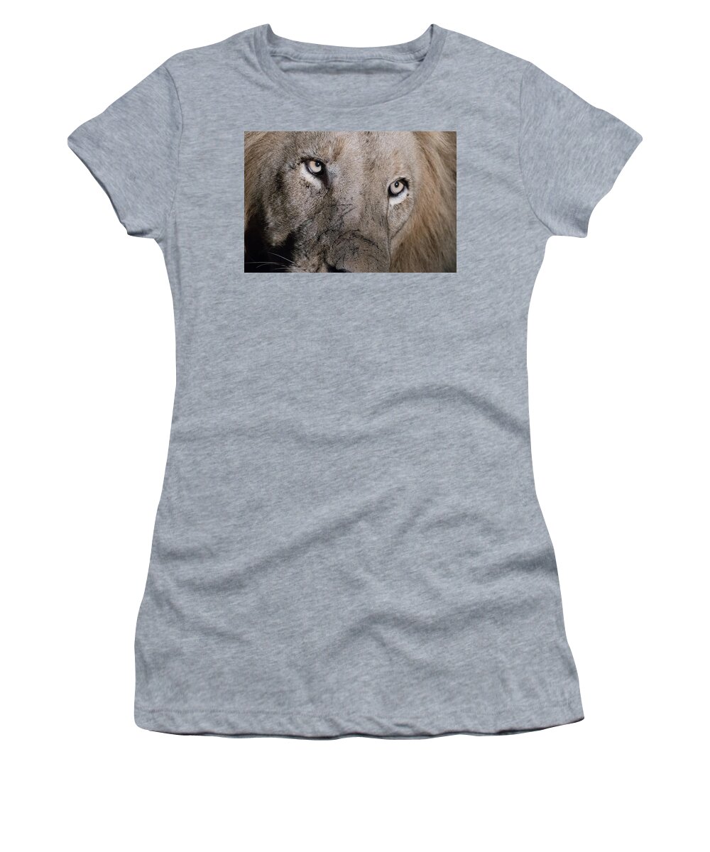 Lion Women's T-Shirt featuring the photograph The gaze of a lion by Mark Hunter