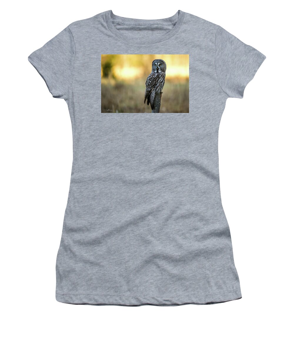 Great Grey Perching Women's T-Shirt featuring the photograph The Great Gray Owl in the morning by Torbjorn Swenelius