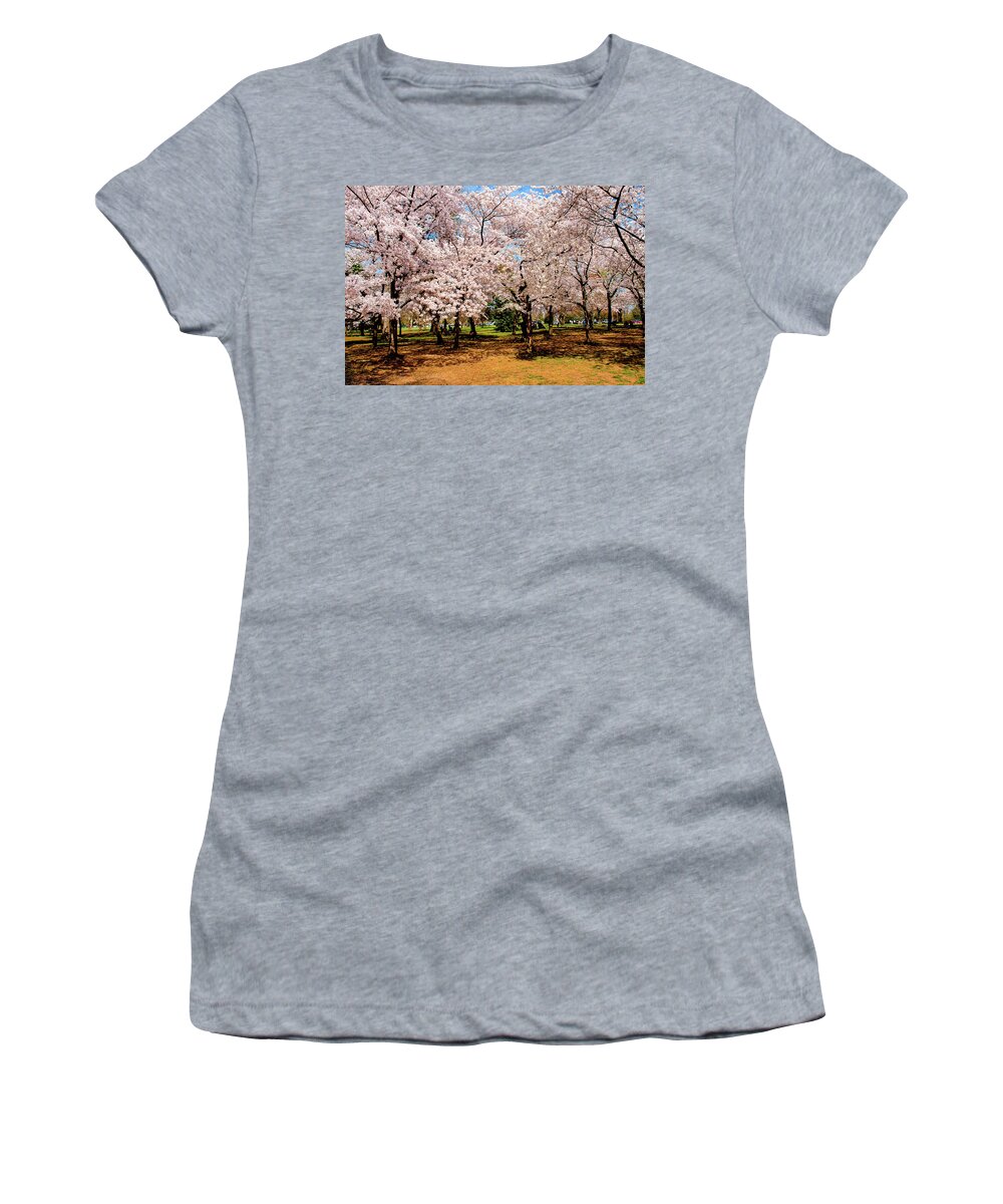 Cherry Blossoms Women's T-Shirt featuring the photograph The Grove by Greg Fortier