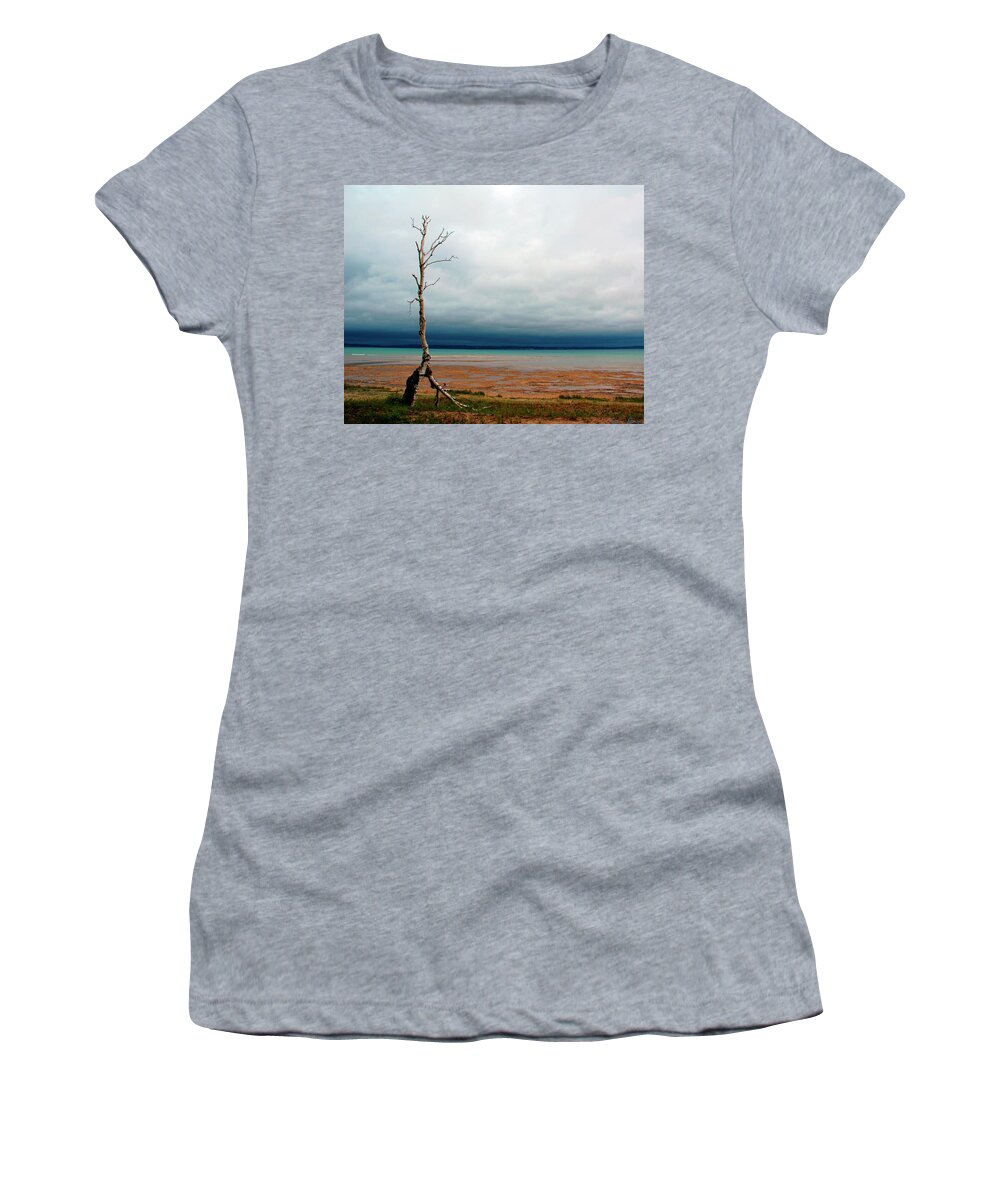  Women's T-Shirt featuring the photograph The Last Birch by Rein Nomm
