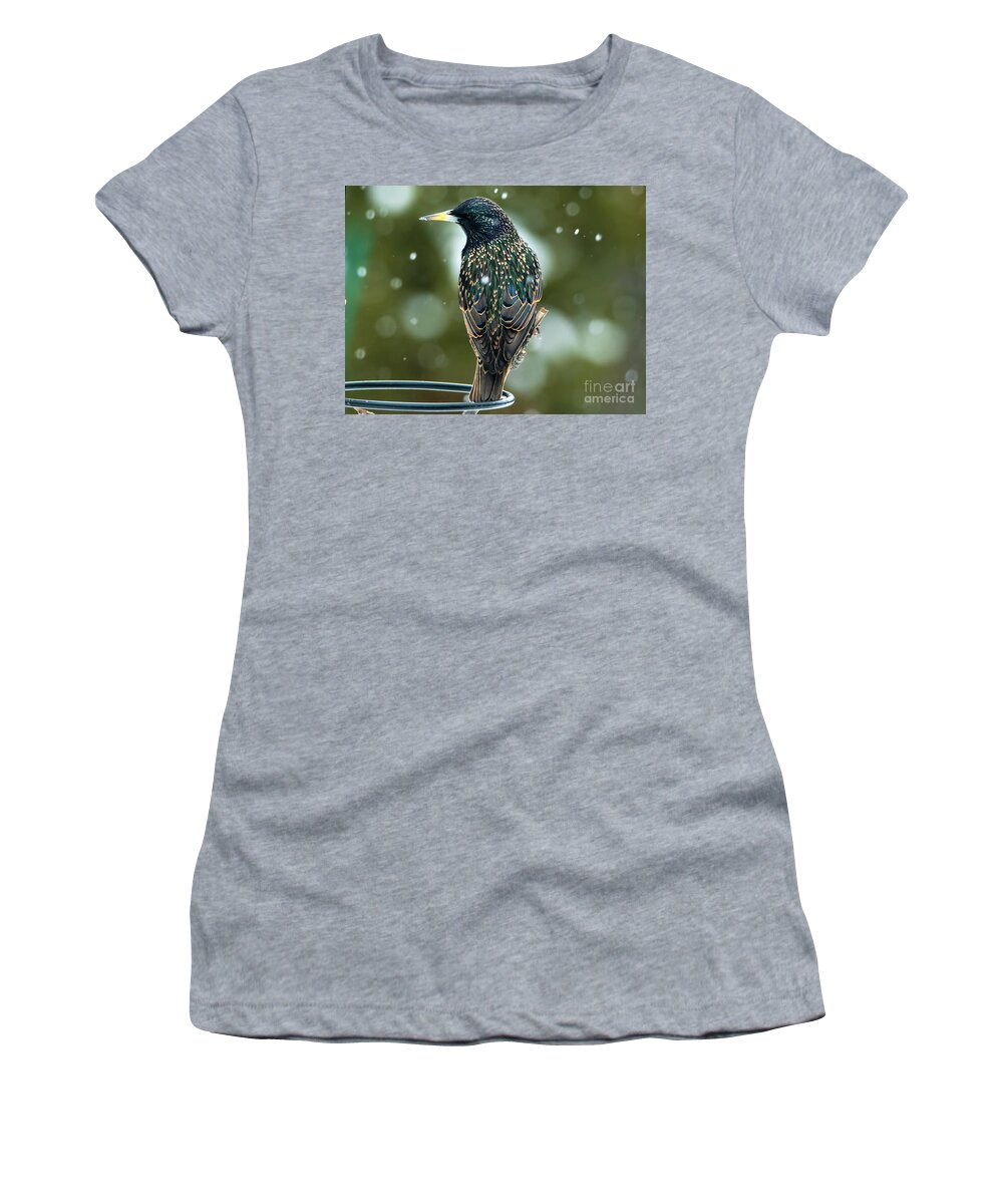 Starling Women's T-Shirt featuring the photograph The Starling Bird Portrait by Sandra J's