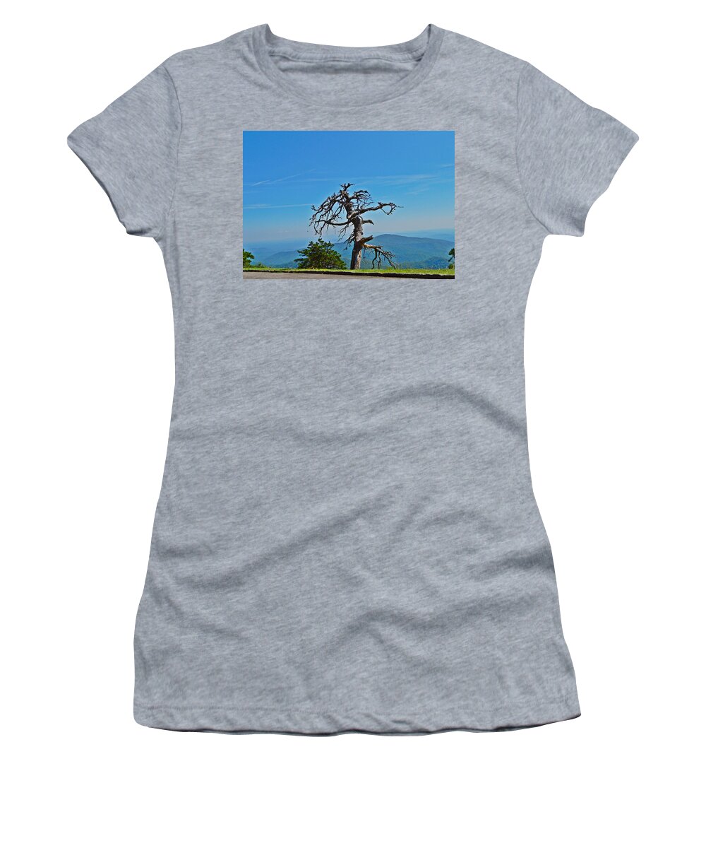 Dead Tree Women's T-Shirt featuring the photograph The Survivor by Stacie Siemsen