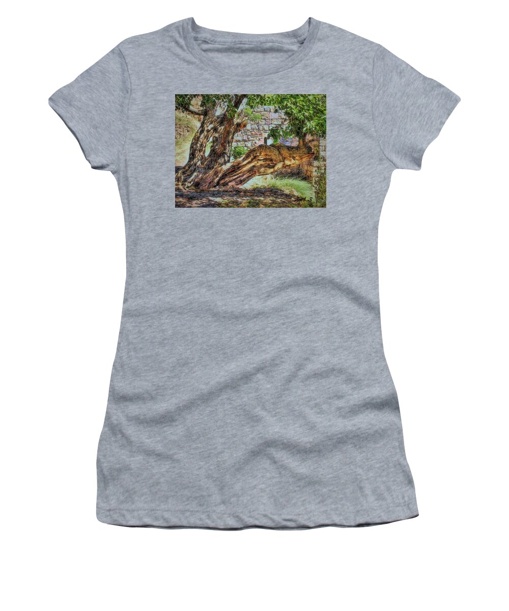 Trees Women's T-Shirt featuring the photograph The Walnut Tree by Bearj B Photo Art