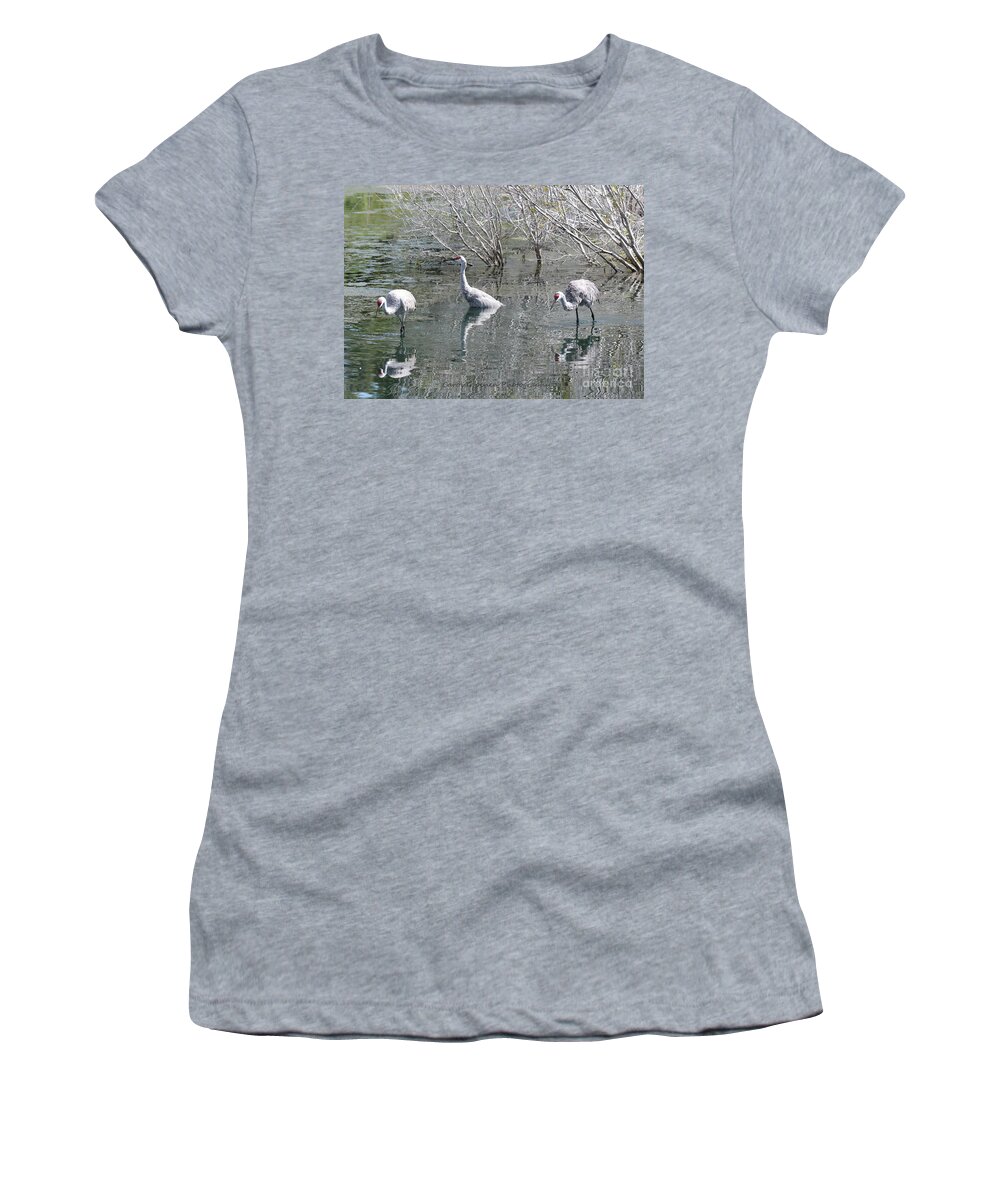 Three Sandhill Cranes Women's T-Shirt featuring the photograph Three Sandhills through the Pond by Carol Groenen
