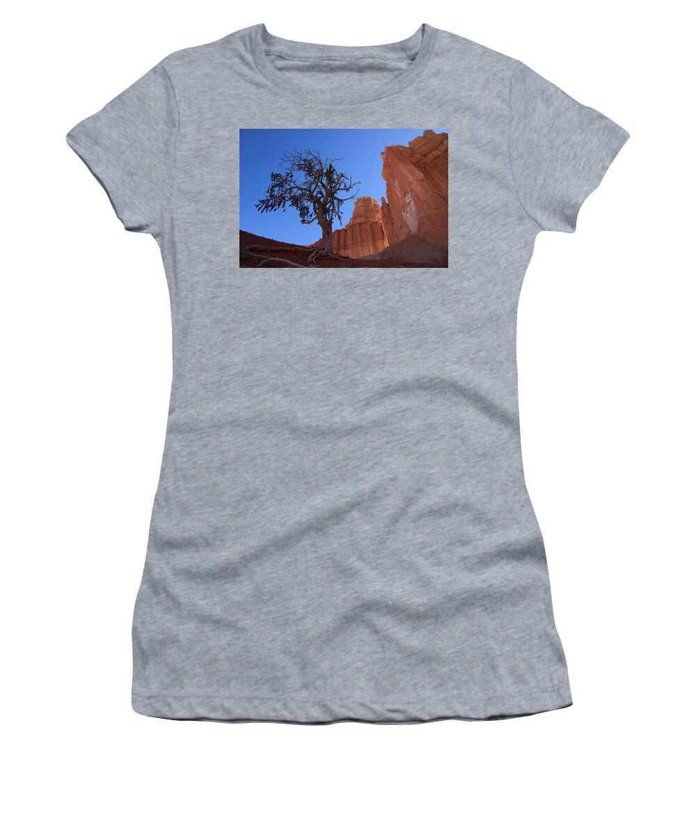 Desert Women's T-Shirt featuring the photograph Tree Tower by Ivan Franklin