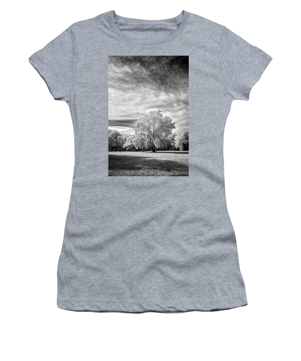 Black And White Women's T-Shirt featuring the photograph Trees in Florida by Jon Glaser