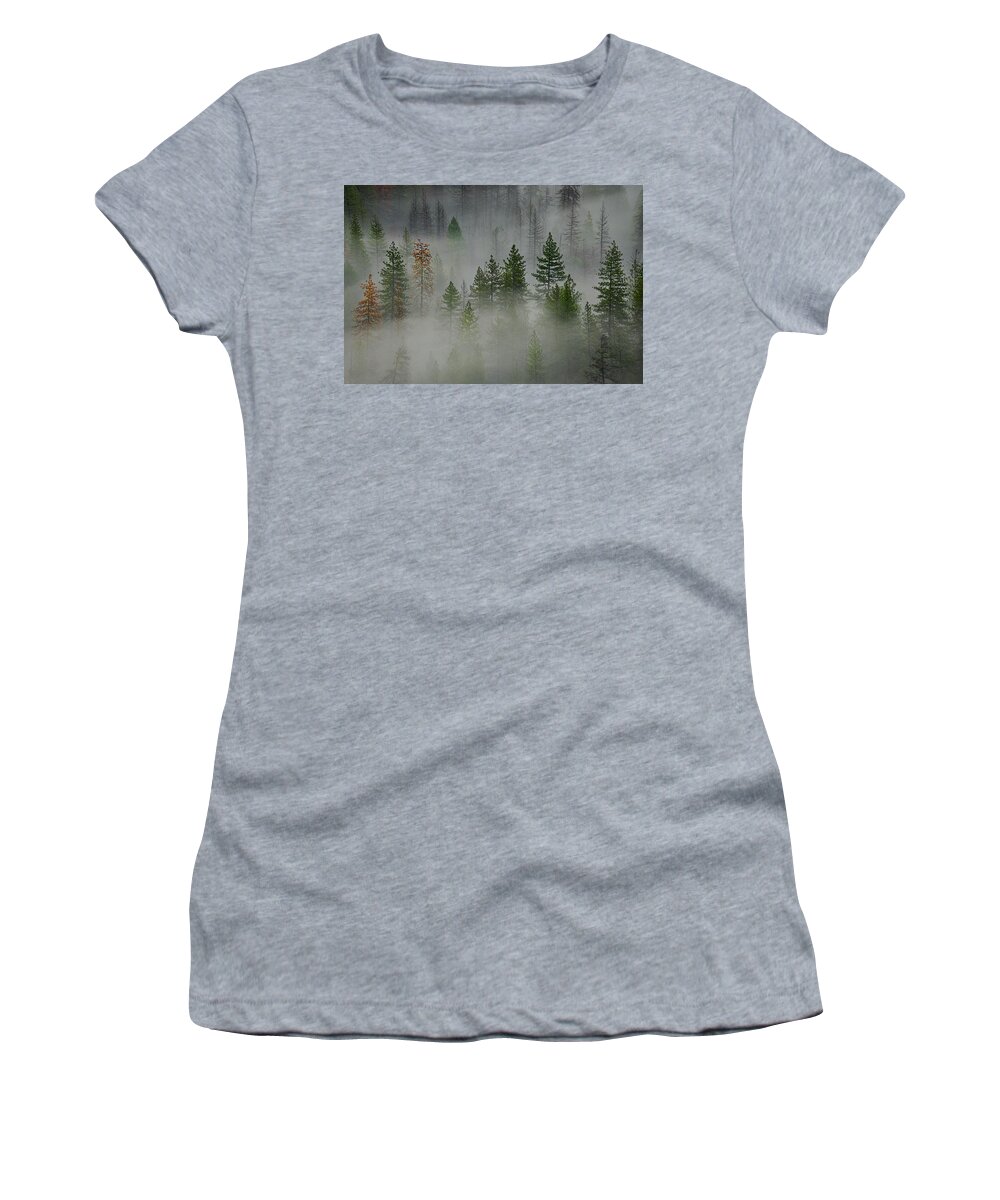 Forest Women's T-Shirt featuring the photograph Trees in Yosemite II by Jon Glaser