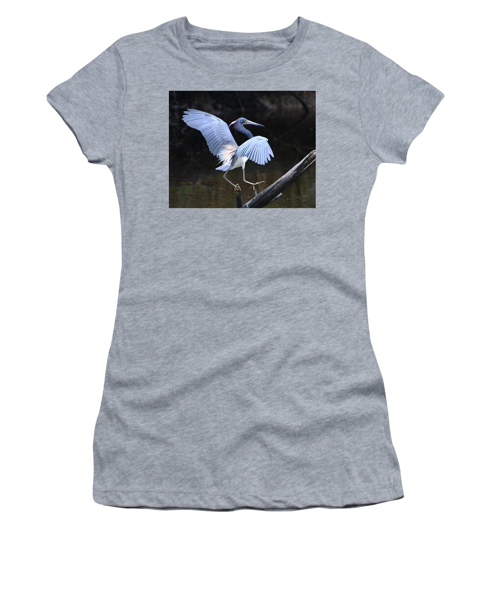 Tricolor Heron Women's T-Shirt featuring the photograph Tricolor Heron Landing by Jerry Griffin