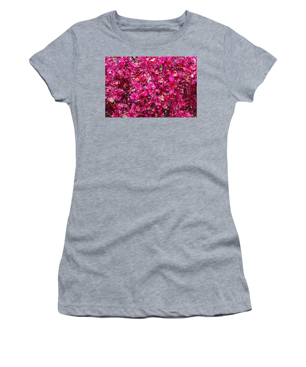 Tropical Women's T-Shirt featuring the photograph Tropical Plantation Maui Study 5 by Robert Meyers-Lussier