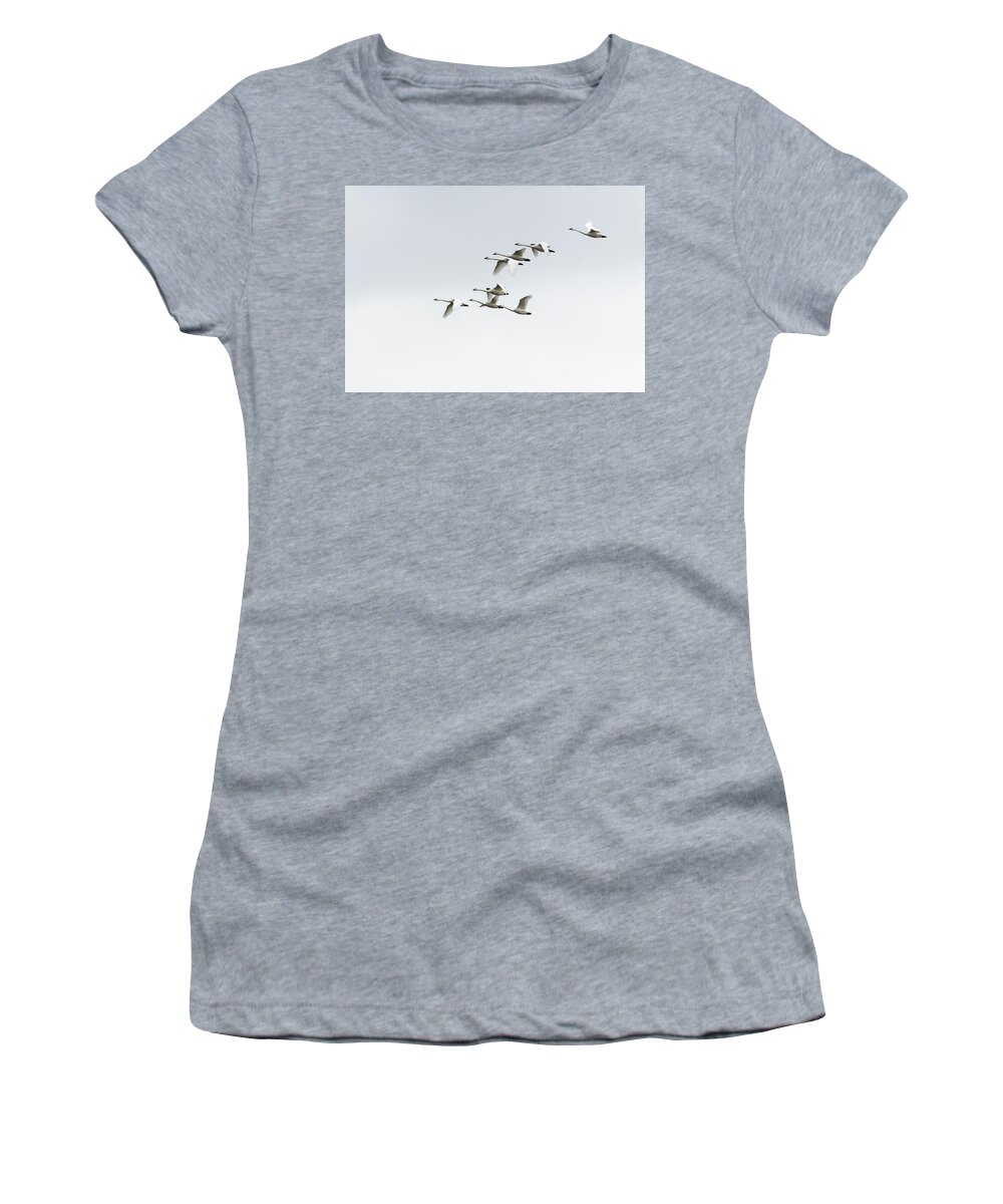 Women's T-Shirt featuring the photograph Tundra Swans 2019-3 by Thomas Young