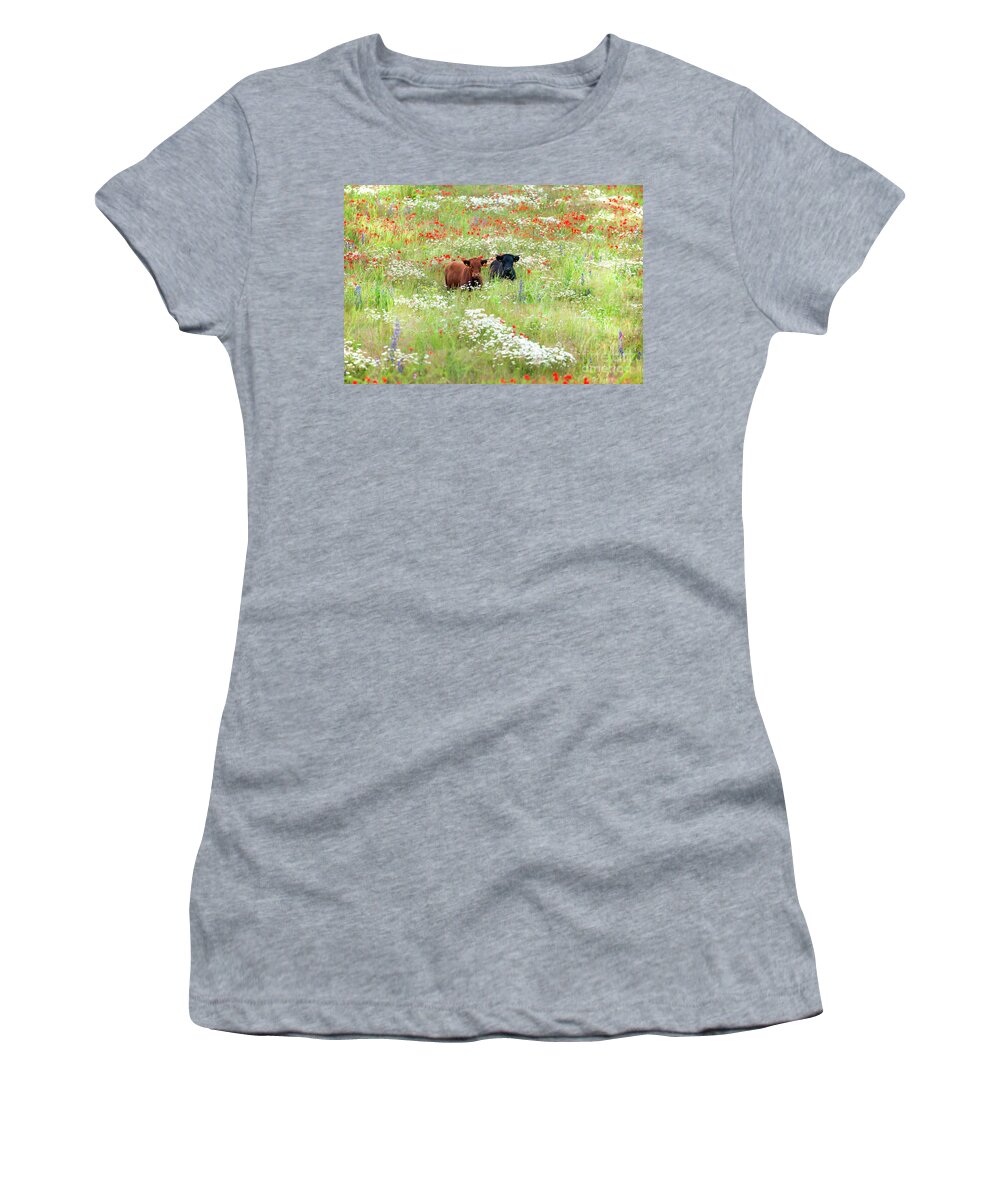 Cows Women's T-Shirt featuring the photograph Two Norfolk cows in wild flower meadow by Simon Bratt