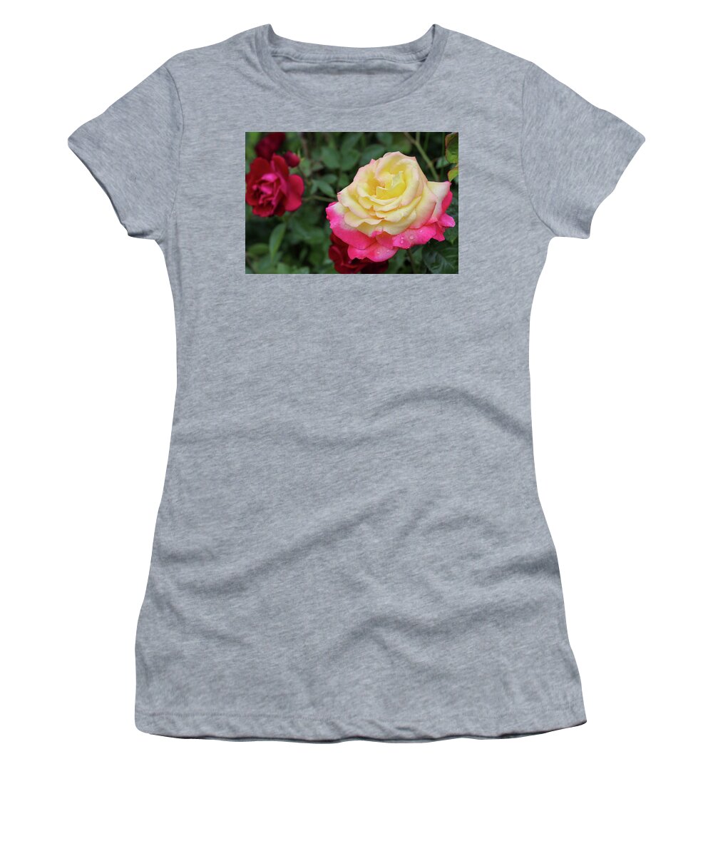 Rose Women's T-Shirt featuring the photograph Two Tone Beauty by Mary Anne Delgado