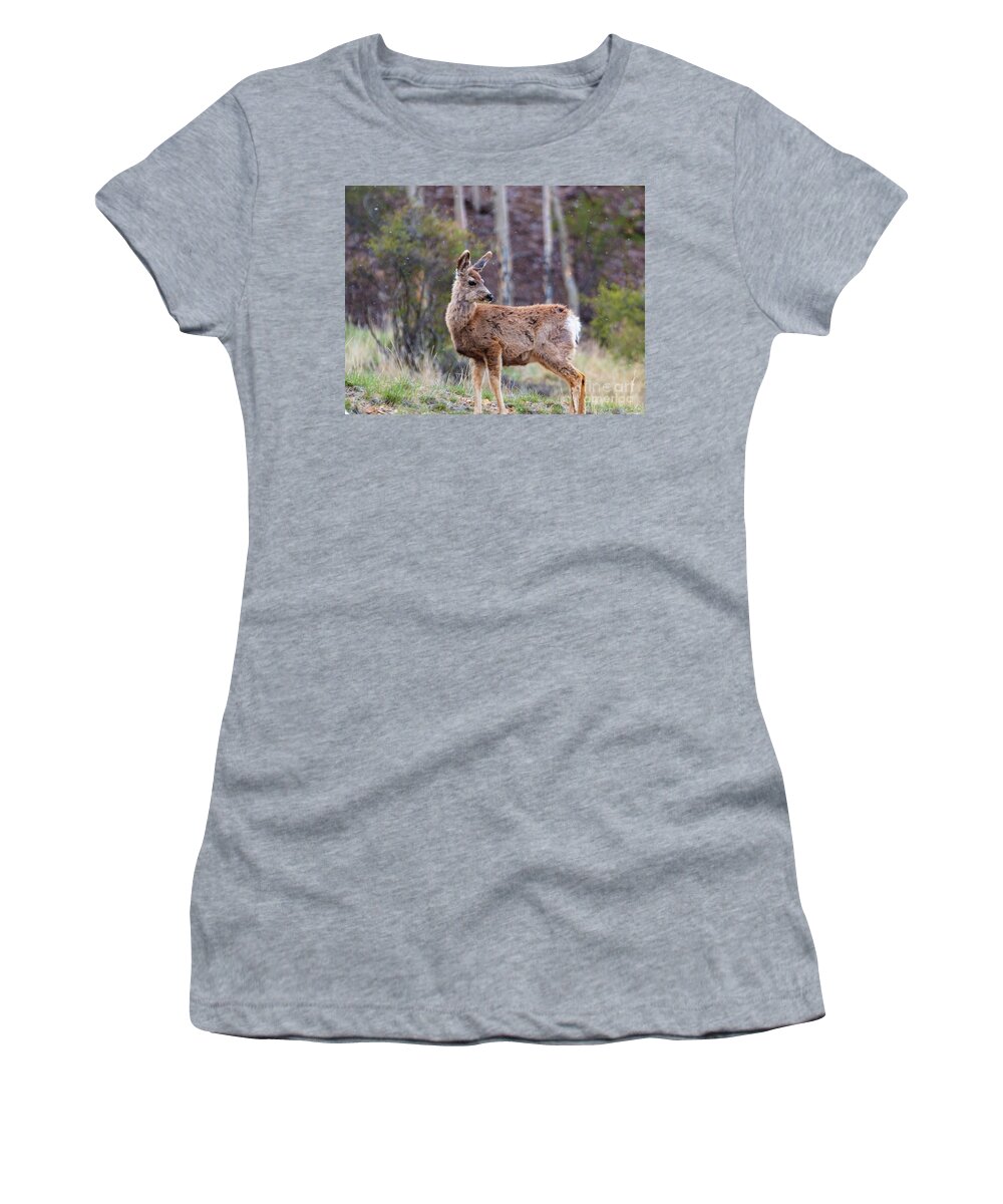 Deer Women's T-Shirt featuring the photograph Wary Deer Herd on a Snowy Morning by Steven Krull