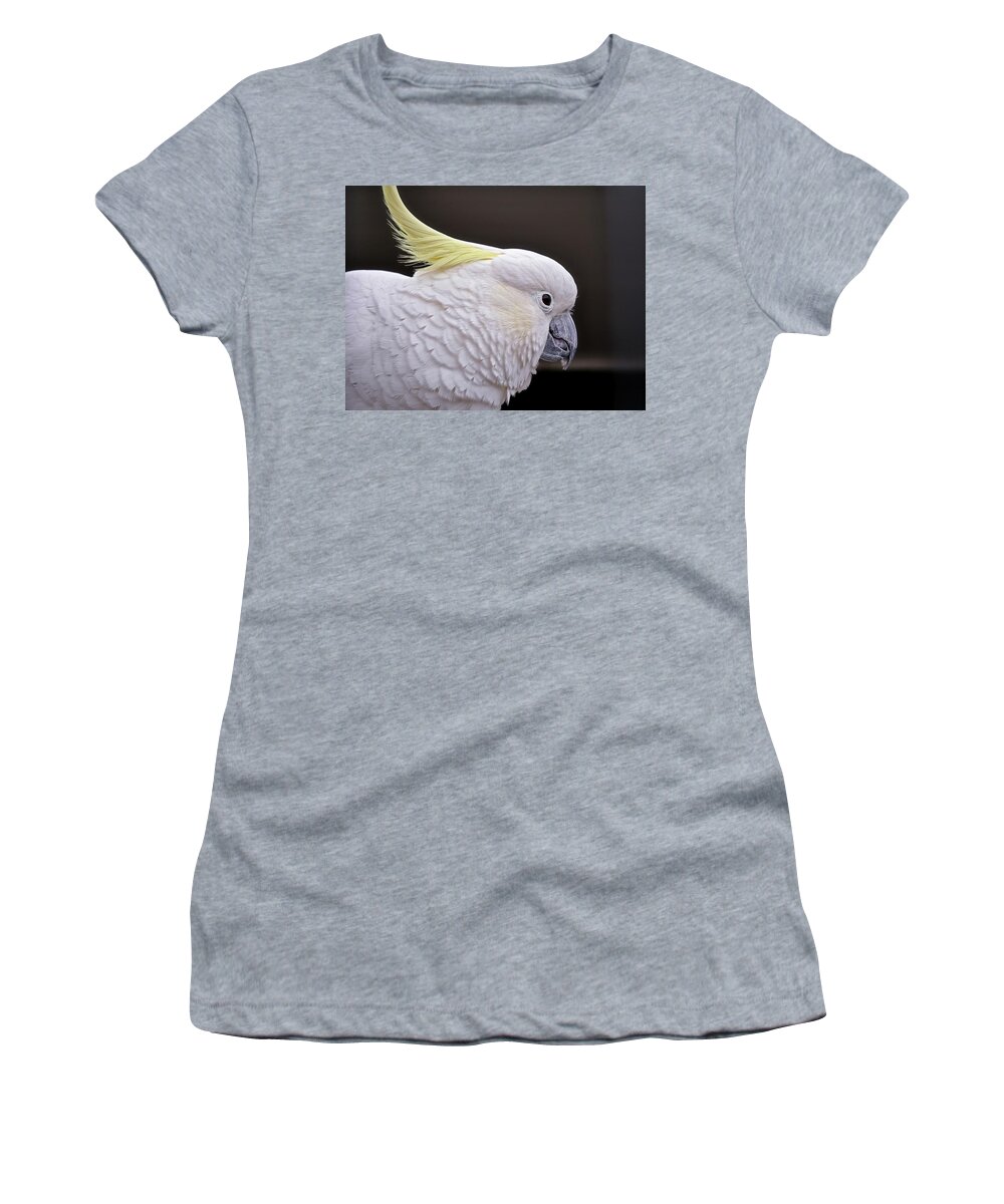 Cockatoo Women's T-Shirt featuring the photograph White cockatoo by Martin Smith