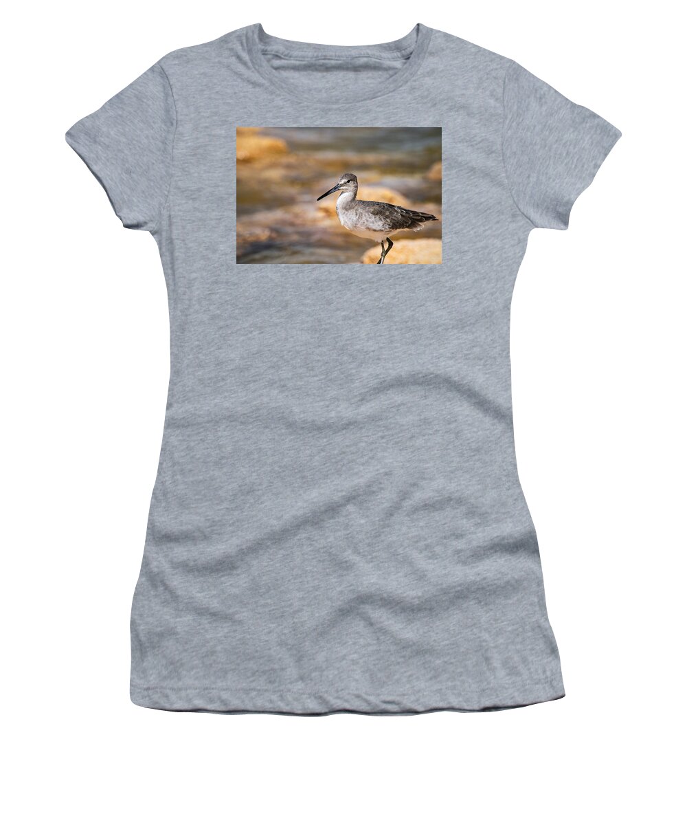 Willet Women's T-Shirt featuring the photograph Willet by Mary Ann Artz