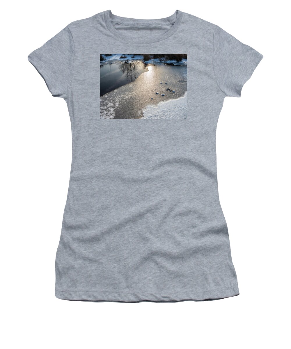 Blue Berry Women's T-Shirt featuring the photograph Winter Landscape at Whitesbog by Louis Dallara