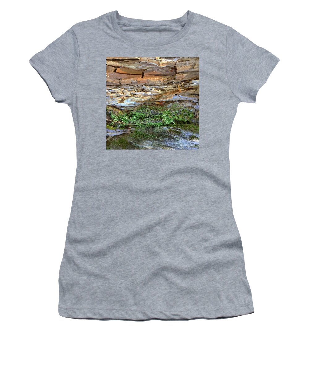Photography Women's T-Shirt featuring the photograph Woodland 93 by Amy E Fraser