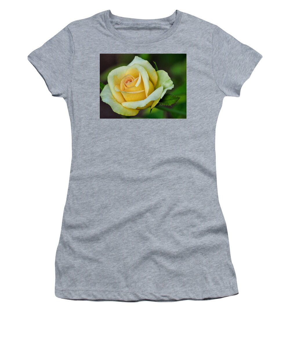 Rose Women's T-Shirt featuring the photograph Yellow Rose 2 by Jerry Connally