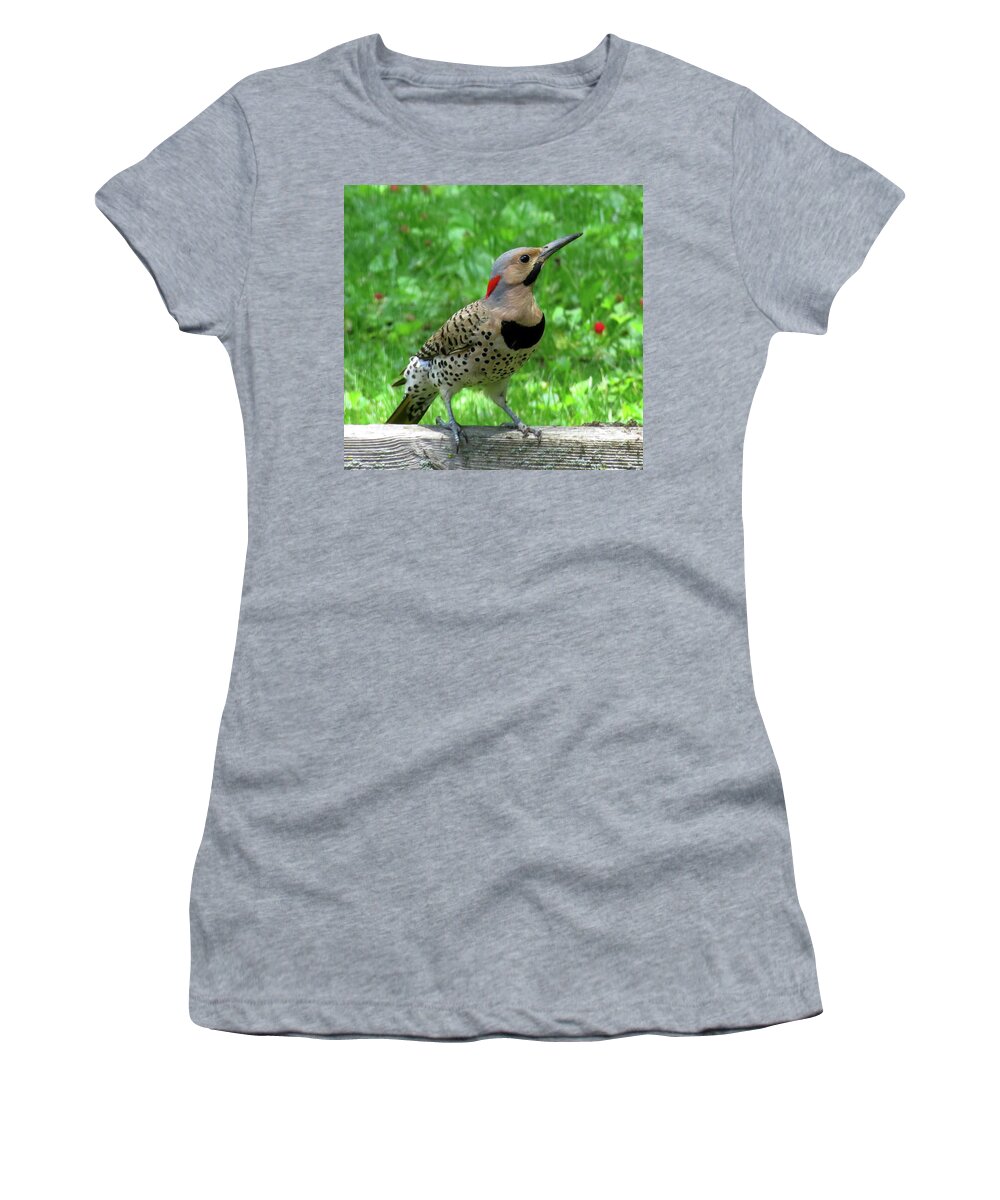 Woodpeckers Women's T-Shirt featuring the photograph Yellow-shafted Northern Flicker by Linda Stern