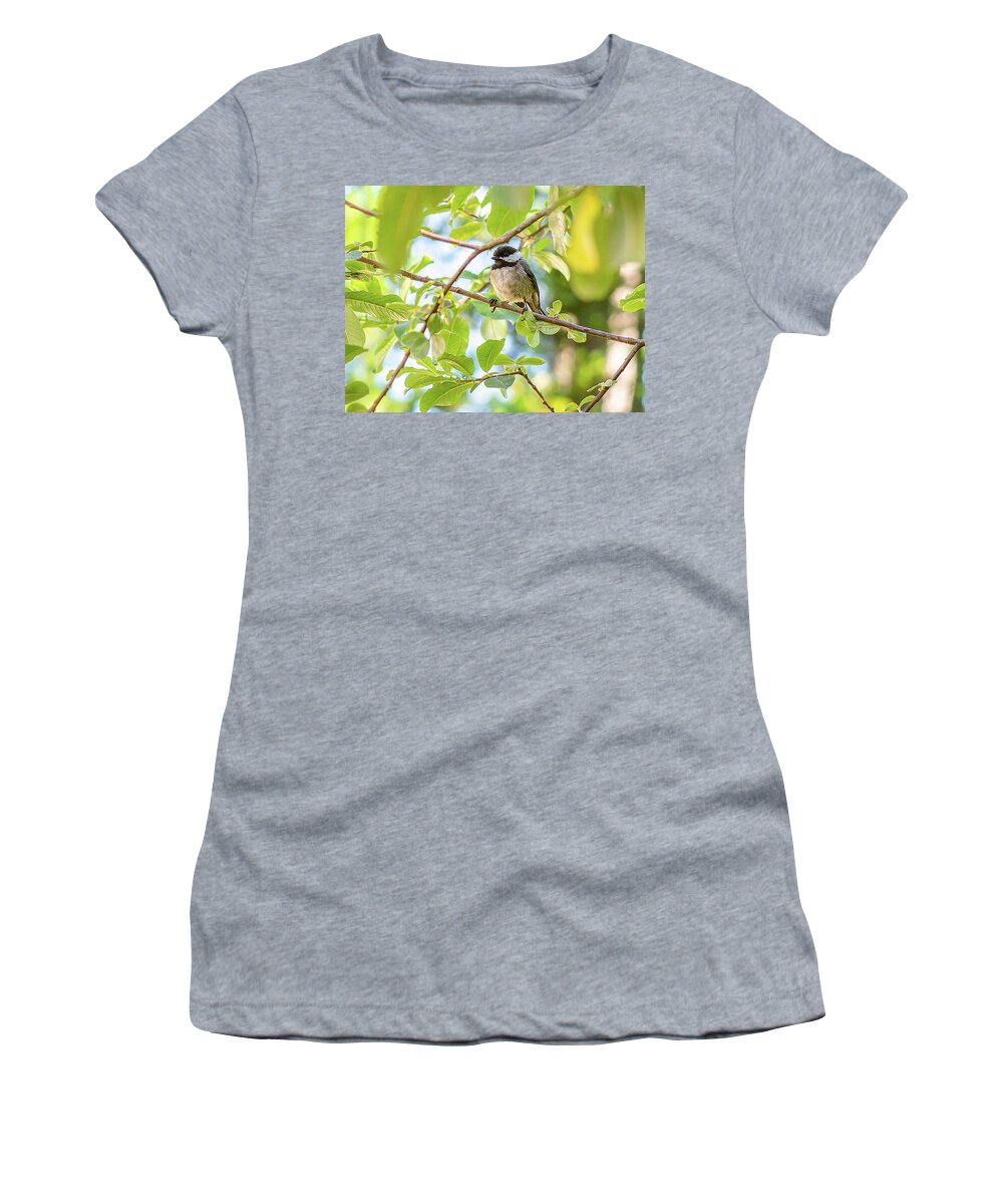 Young Chickadee Women's T-Shirt featuring the photograph Young Chickadee by Timothy Anable