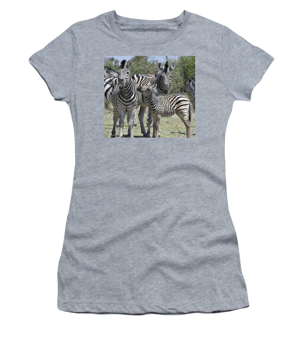 Zebra Women's T-Shirt featuring the photograph Zebra Family by Ben Foster