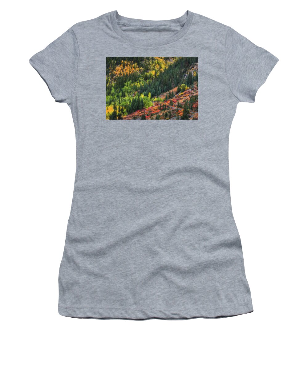 Fall Women's T-Shirt featuring the photograph Autumn's Color Palette #1 by Darren White