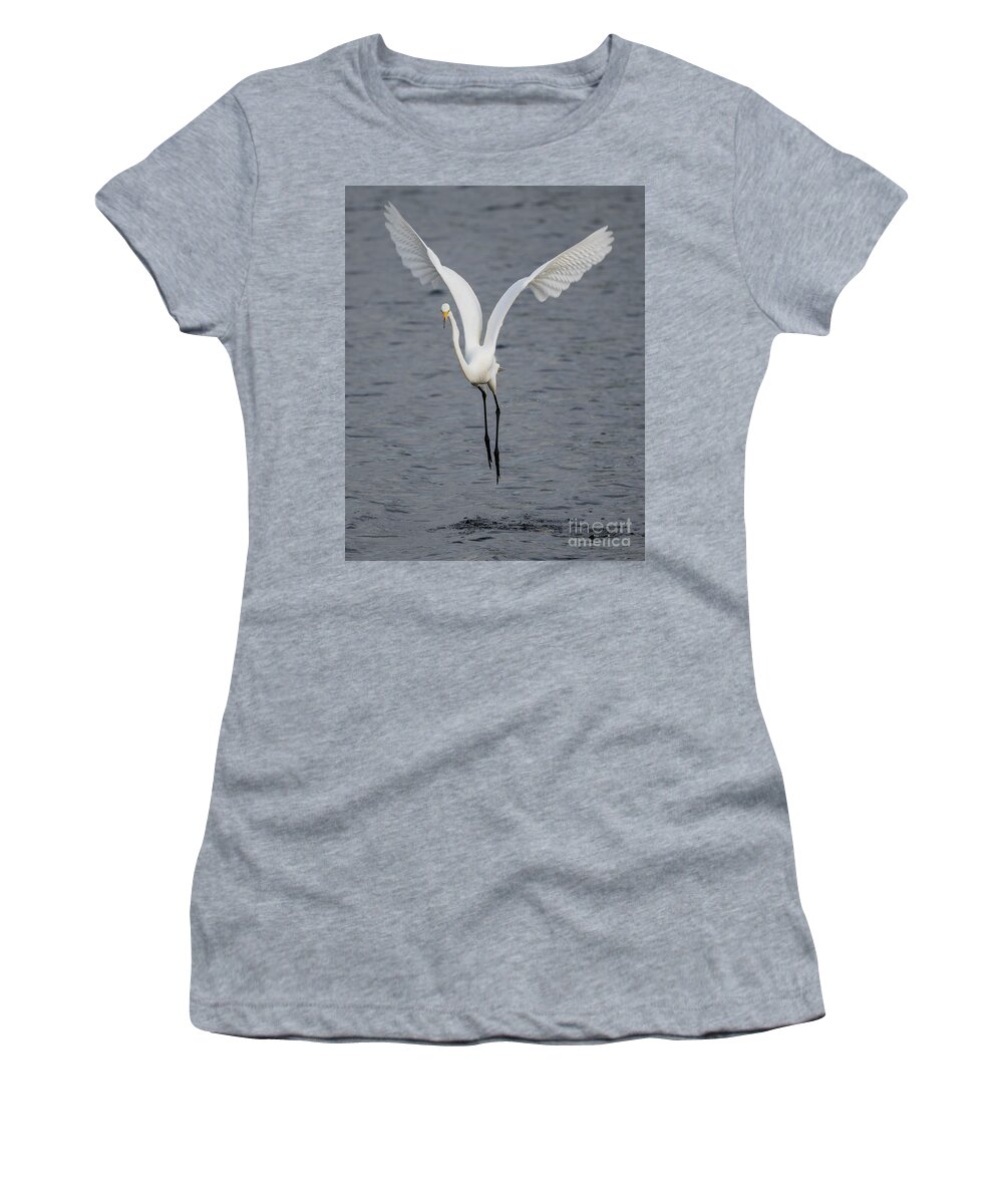 Great Egret Women's T-Shirt featuring the photograph Big White #1 by Tony Beck