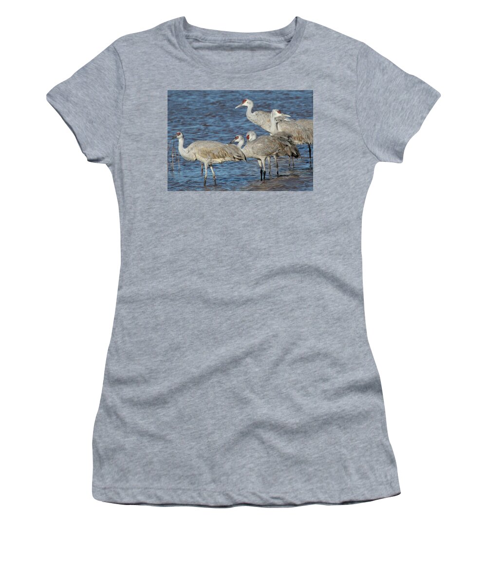 Wildlife Women's T-Shirt featuring the photograph Birds Of A Feather by Robert Harris
