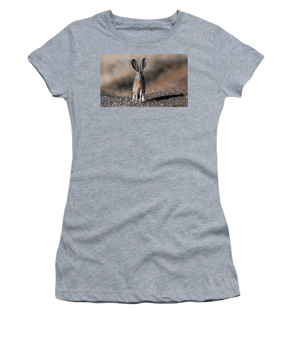 Jackrabbit Women's T-Shirt featuring the photograph Black Tailed Jackrabbit #1 by Rick Mosher